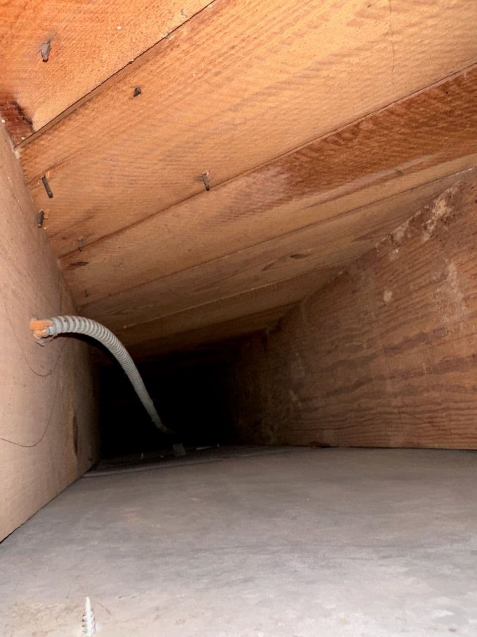 Deep Cleaning for Healthier Homes image